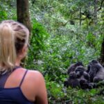 Gorilla-Trekking-in-Bwindi-Impenetrable-National-Park